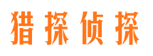 元宝市侦探公司